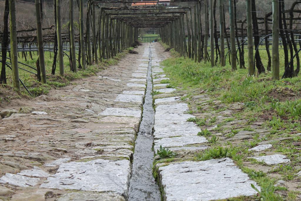 Quinta Da Eira Do Sol Villa Guimarães Eksteriør bilde