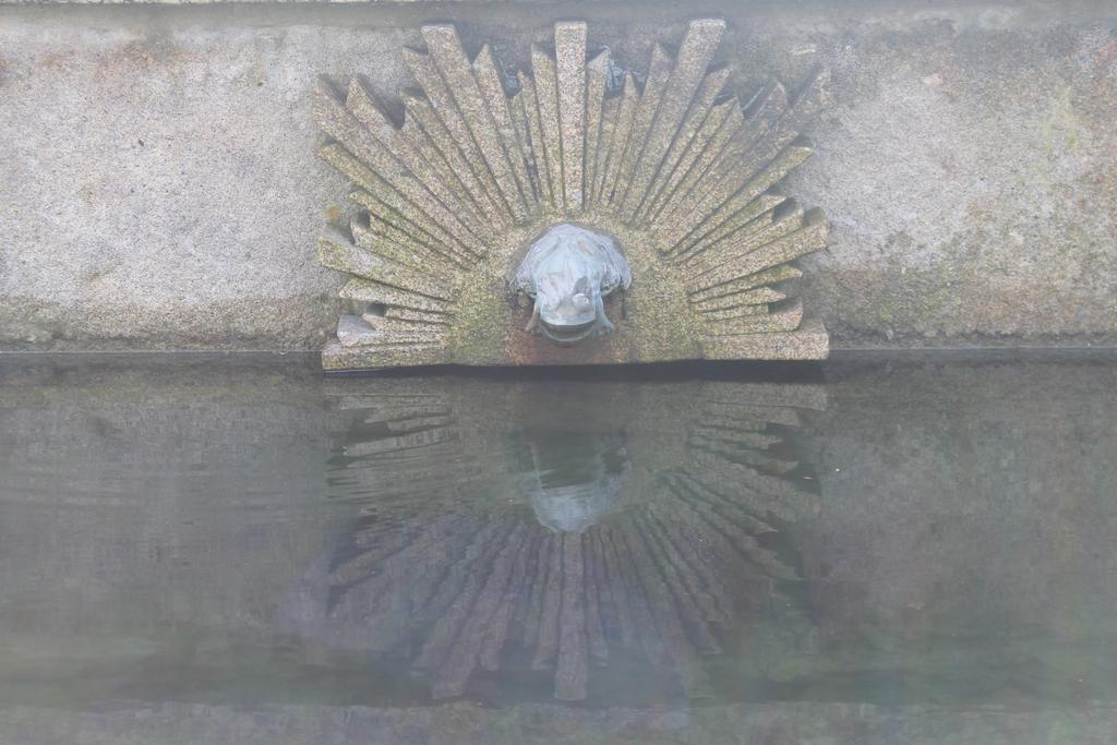 Quinta Da Eira Do Sol Villa Guimarães Eksteriør bilde